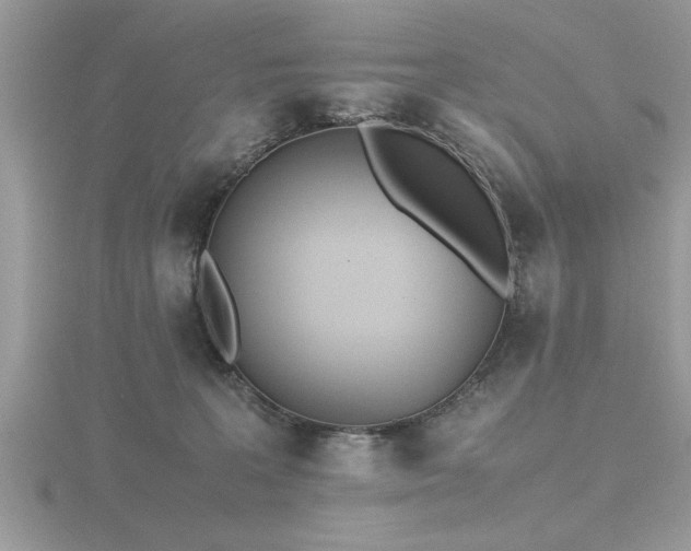 X0000116460227200912091255