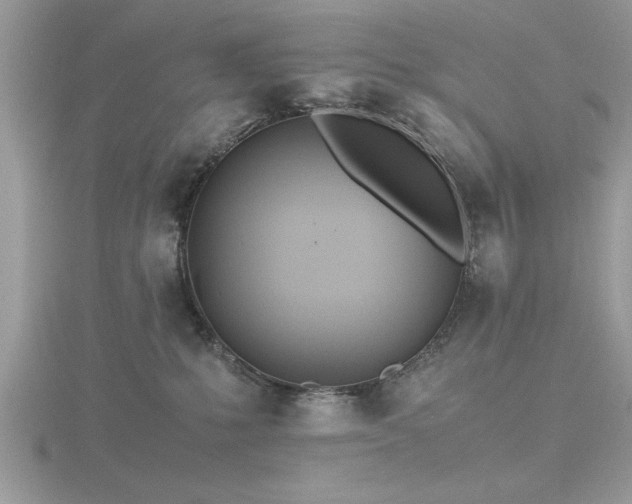 X0000116460231200912091255