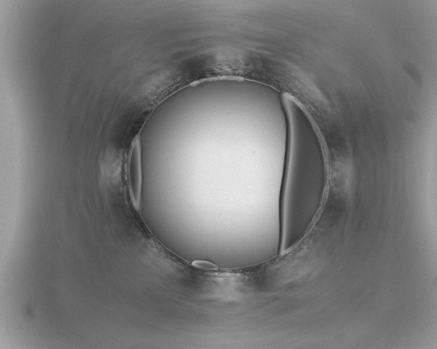 X0000116460233200912091255