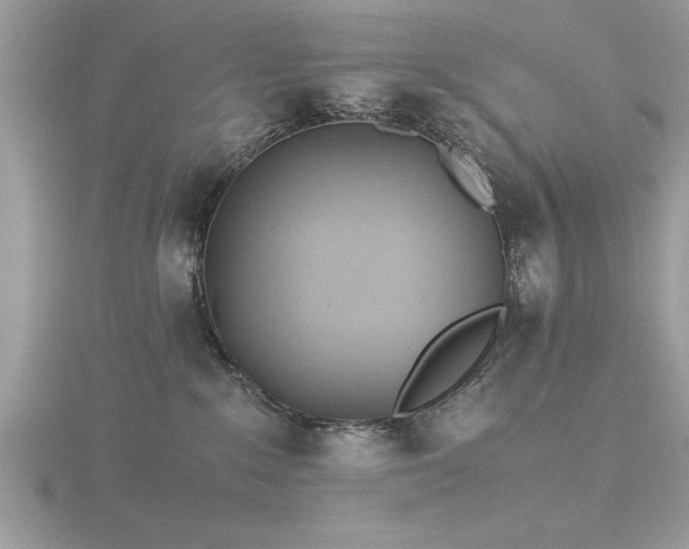 X0000116460235200912091255