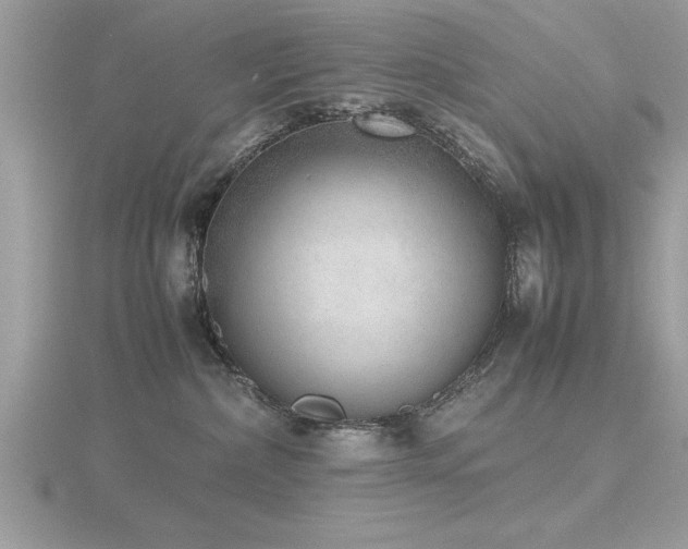 X0000116460236200912091255