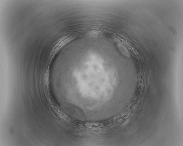 X0000116460242200912091254
