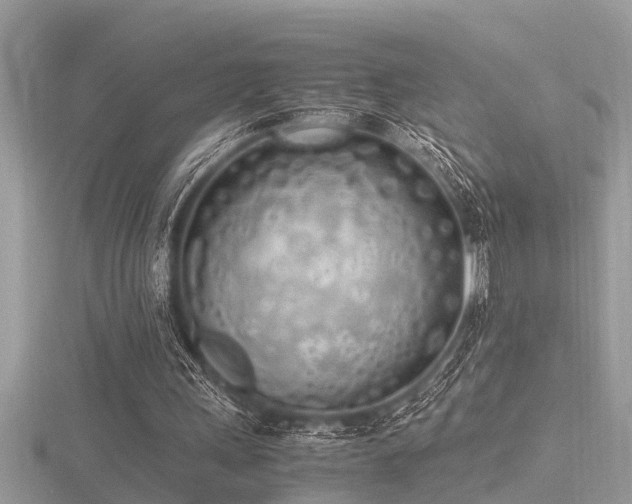 X0000116460243200912091254