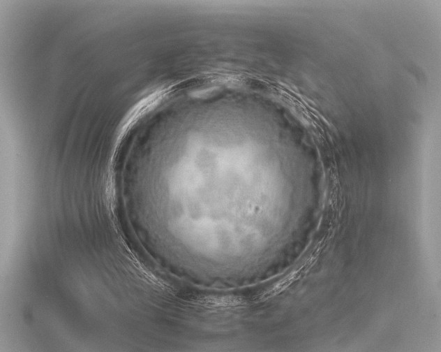 X0000116460245200912091254
