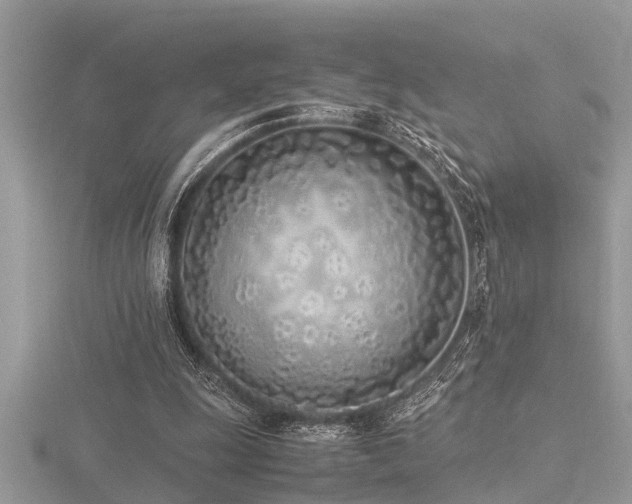 X0000116460247200912091254