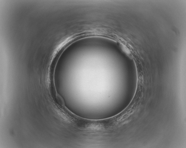X0000116460248200912091254