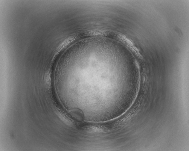 X0000116460250200912091254