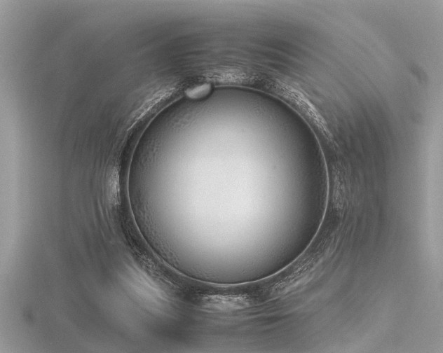 X0000116460251200912091254