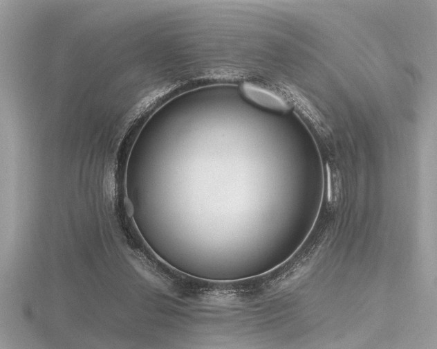 X0000116460252200912091254