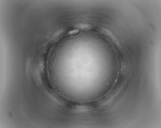 X0000116460259200912091255