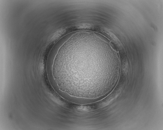 X0000116460261200912091255