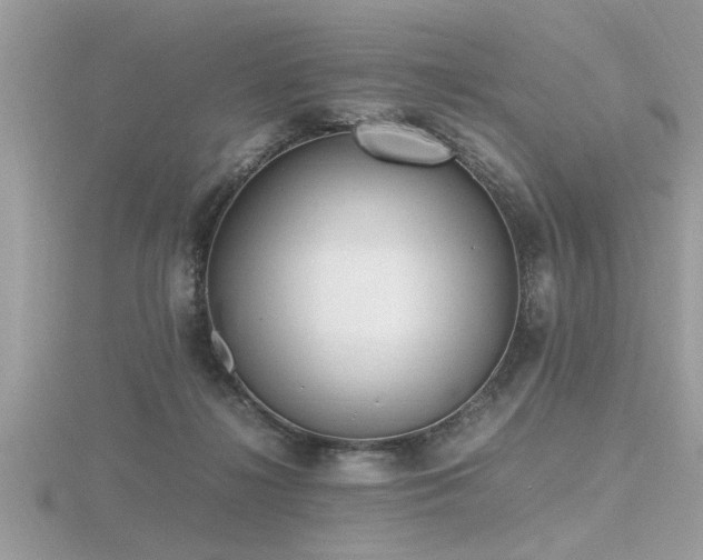 X0000116460268200912091255