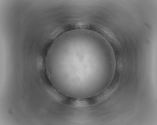 X0000116460270200912091255