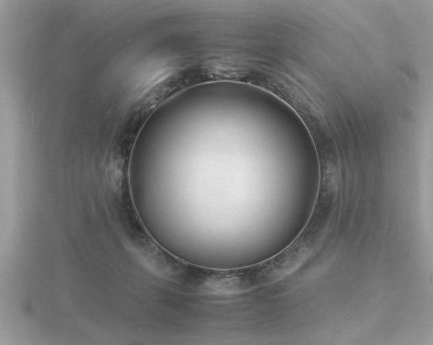 X0000116460271200912091255