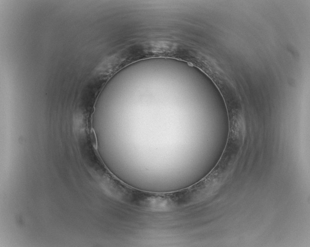 X0000116460272200912091255