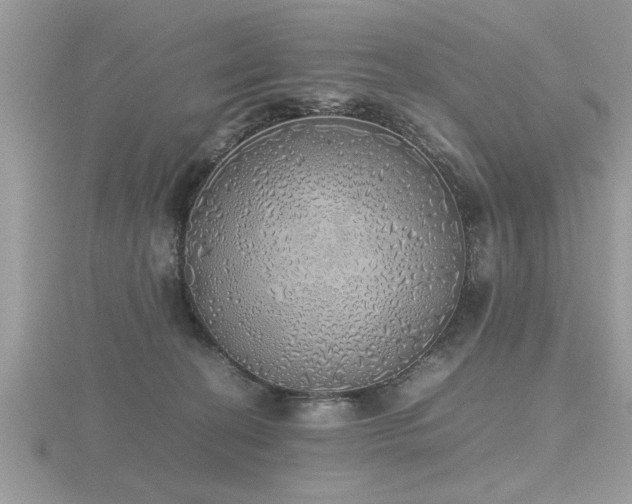 X0000116460274200912091255