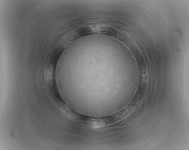 X0000116460275200912091255