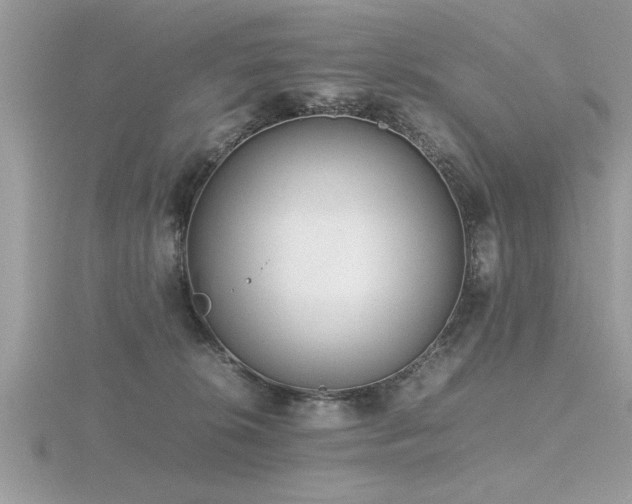 X0000116460276200912091255