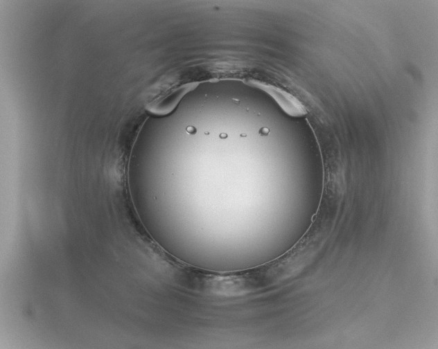 X0000116460277200912091255