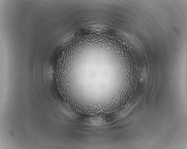 X0000116460279200912091255