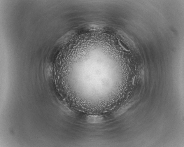 X0000116460281200912091255