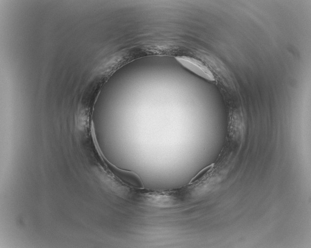 X0000116460284200912091255