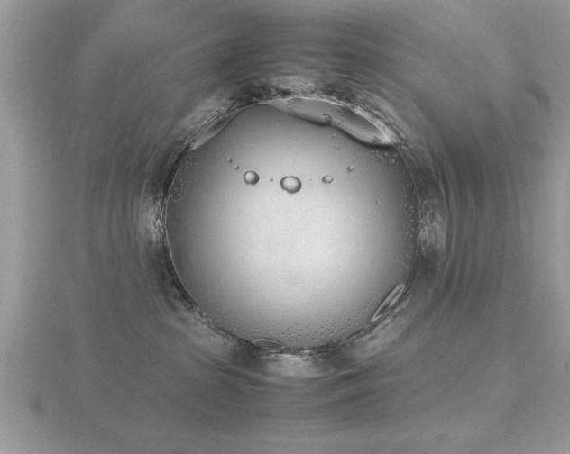 X0000116460285200912091255