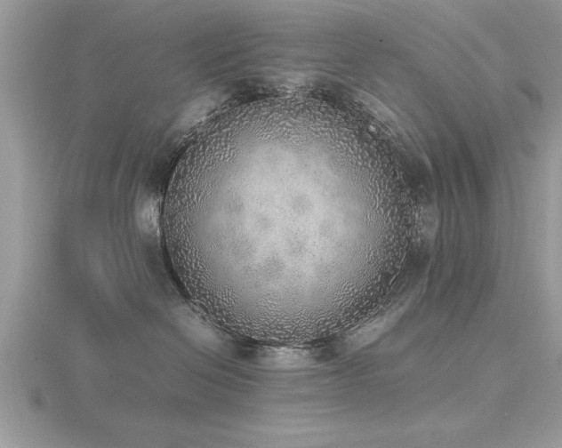 X0000116460286200912091255