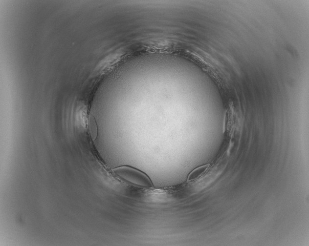 X0000116460287200912091255