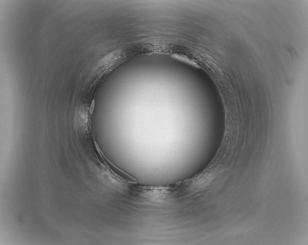 X0000116460288200912091255
