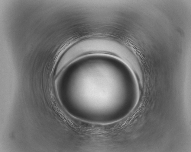 X0000116460289200912091254