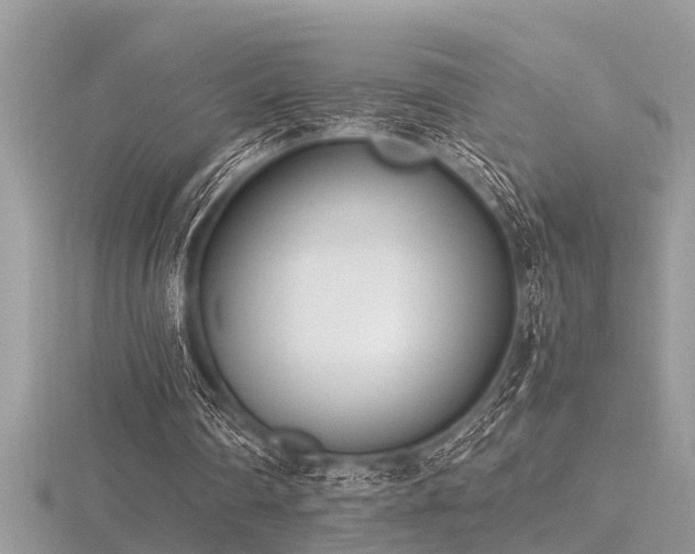 X0000116460290200912091254