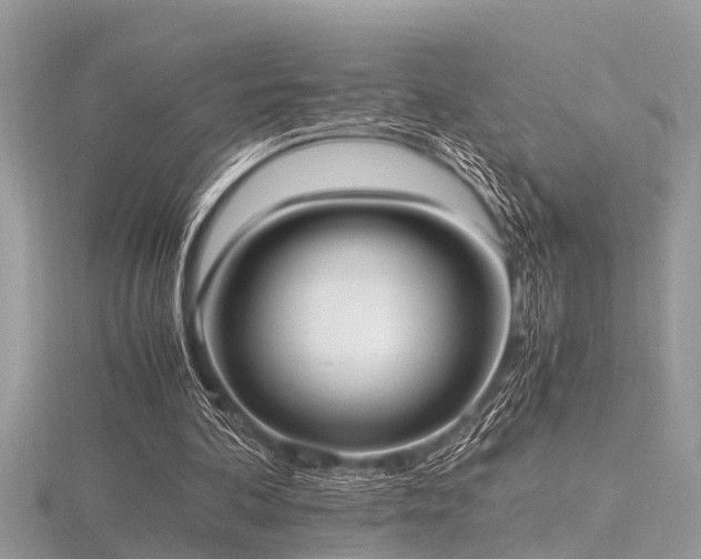 X0000116460292200912091254
