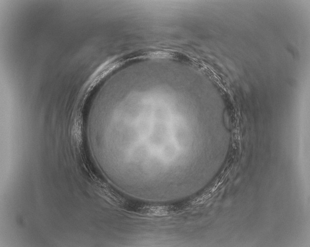 X0000116460295200912091254