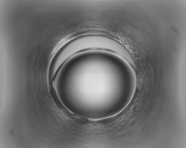 X0000116460296200912091254