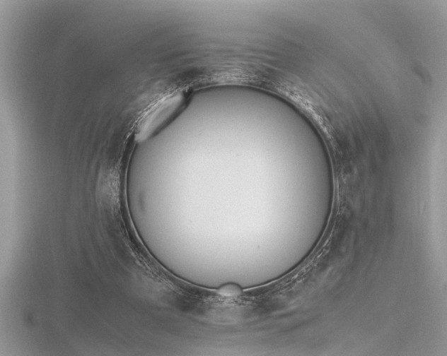 X0000116460297200912091254