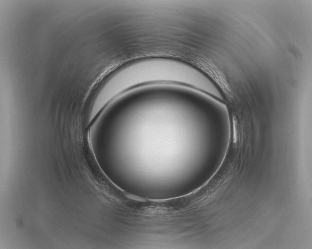 X0000116460300200912091254