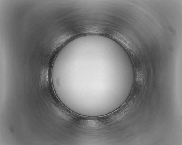 X0000116460302200912091254