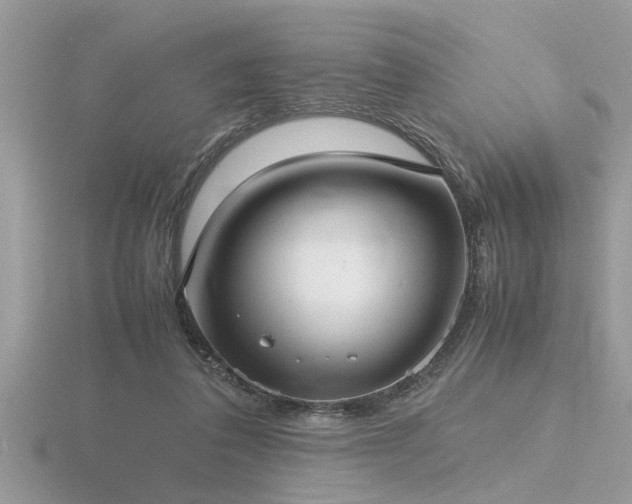 X0000116460308200912091254
