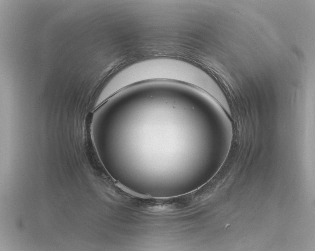 X0000116460312200912091254