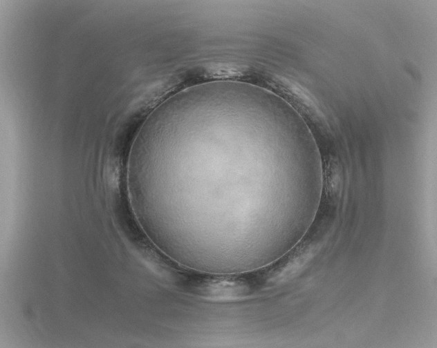 X0000116460315200912091254