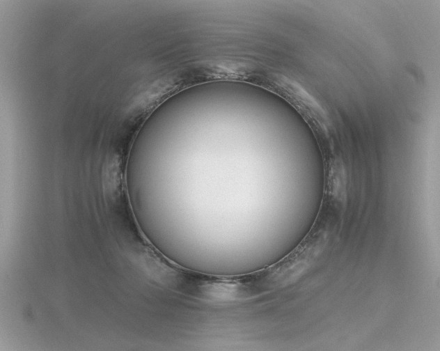 X0000116460318200912091254