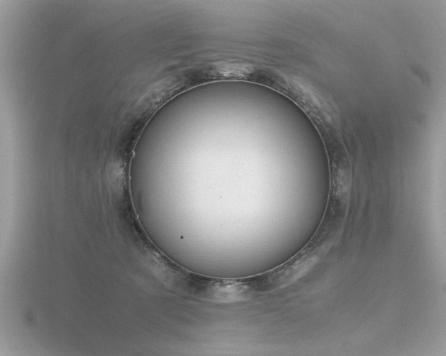 X0000116460321200912091254