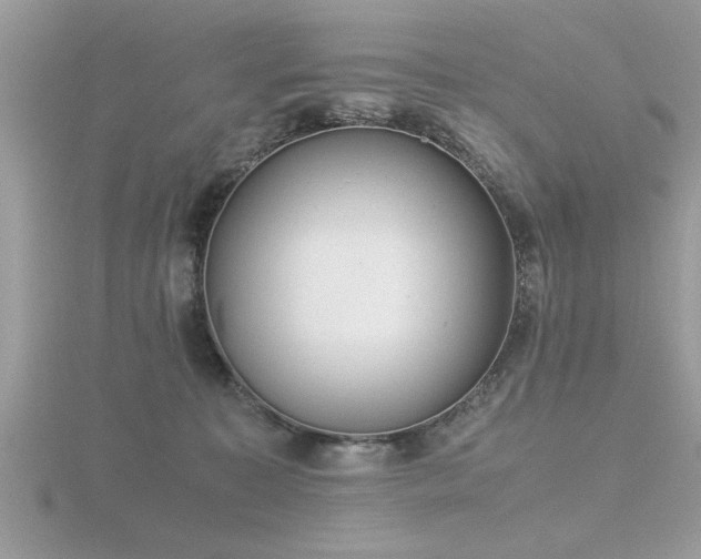 X0000116460323200912091254