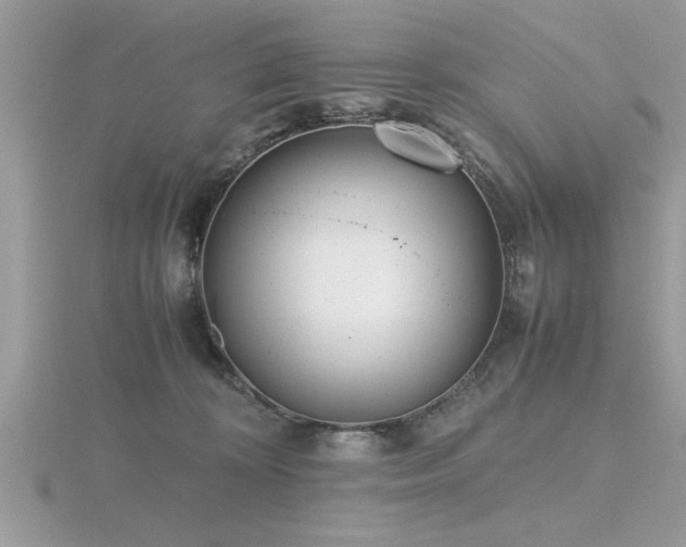 X0000116460324200912091254