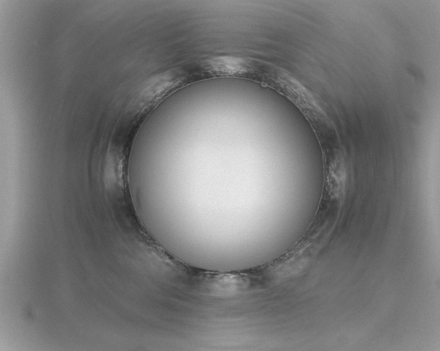 X0000116460330200912091254