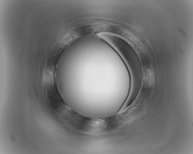 X0000116460333200912091254