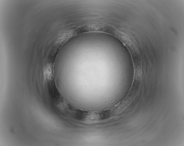 X0000116460335200912091254