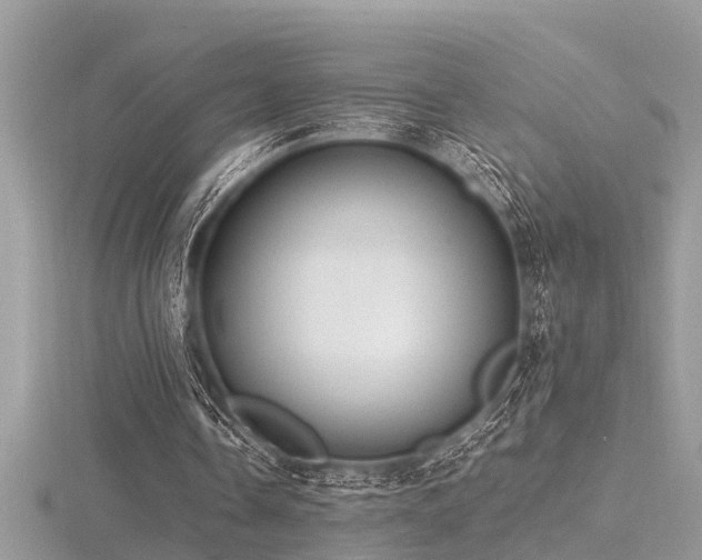 X0000116460338200912091253