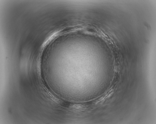 X0000116460341200912091253